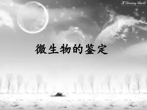 微生物的鉴定