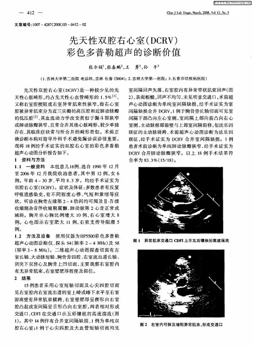 先天性双腔右心室(DCRV)彩色多普勒超声的诊断价值