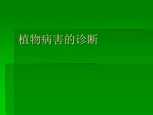 植物病害的诊断