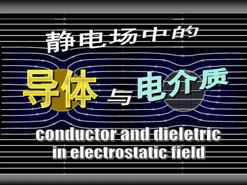 第12章静电场中的导体和电介质PPT课件