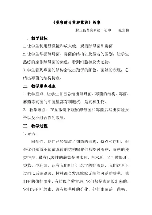 观察酵母菌和霉菌
