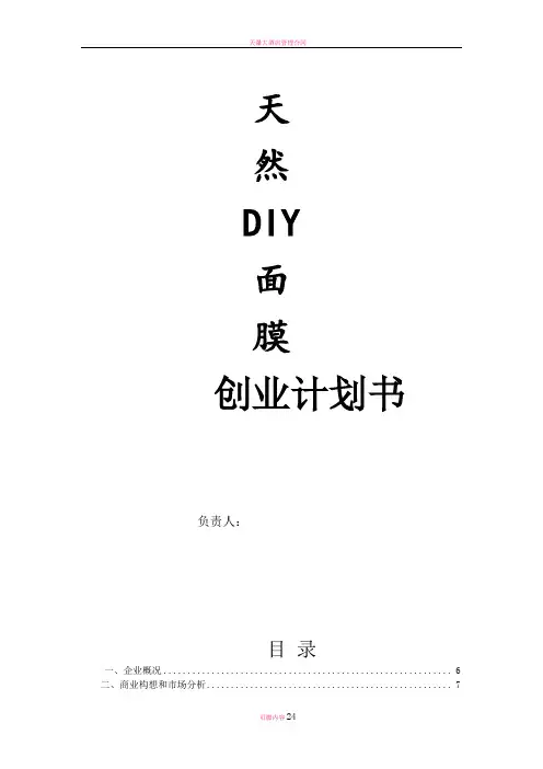 天然DIY面膜创业计划书