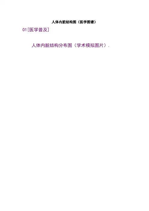 人体内脏结构图(医学图谱)汇总