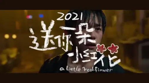 2020-2021学年 高中英语高三   读后积累 易烊千玺贺岁档电影《送你一朵小红花》
