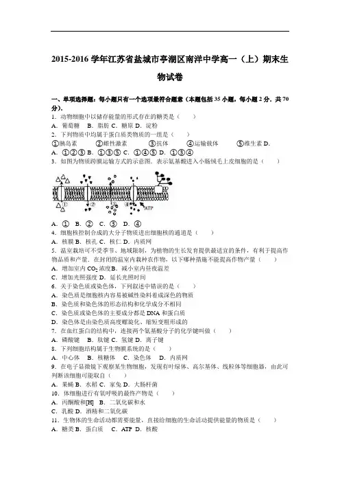 江苏省盐城市亭湖区南洋中学2015-2016学年高一上学期