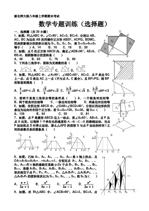 新北师大版八年级上学期期末考试(选择题)