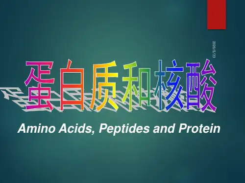 基础有机化学 蛋白质和核酸