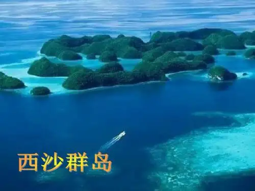 三年级上册新人教版语文24香港璀璨的明珠(生字和课文都有)