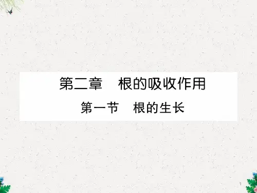 第1节 根的生长