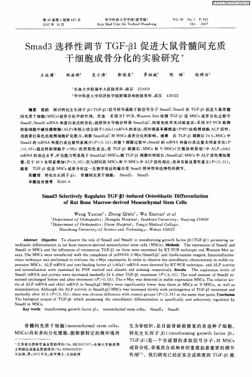 Smad3选择性调节TGF-β1促进大鼠骨髓间充质干细胞成骨分化的实验研究