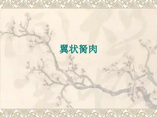 翼状胬肉护理教学案例