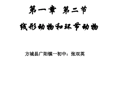 人教版八年级上册5.1.2线形动物和环节动物课件