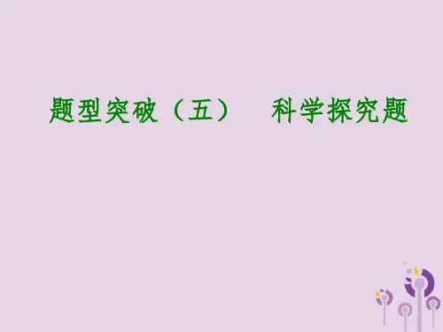 2018届中考化学专题复习题型突破五科学探究题课件二