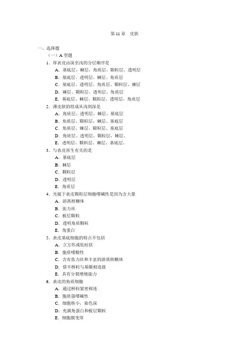 第11章  皮肤