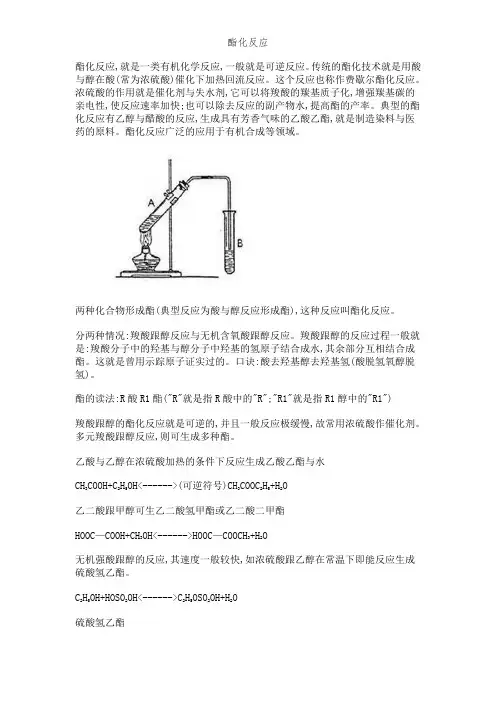 酯化反应 (2)