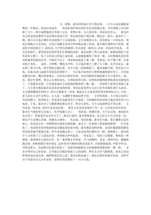 母亲的小白兔