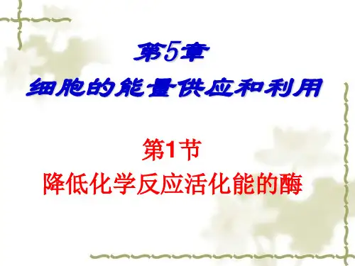 高三生物一轮复习课件：降低化学反应活化能的酶
