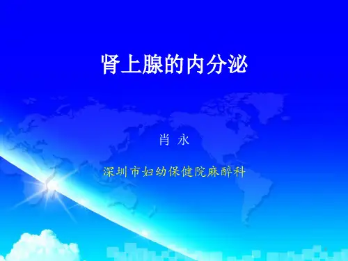 (参考课件)肾上腺的内分泌
