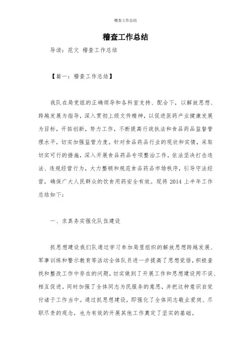 稽查工作总结_1