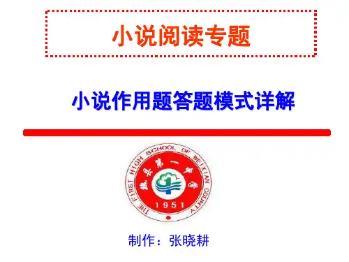 张晓耕：小说阅读作用题20191225
