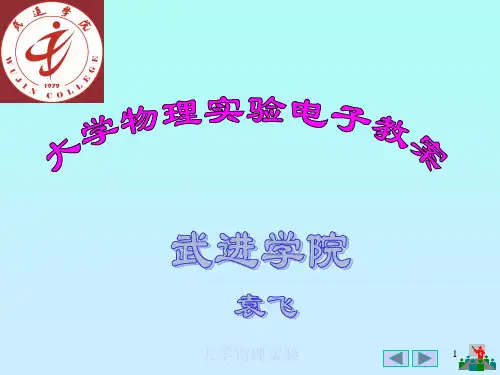 大学物理实验第一章
