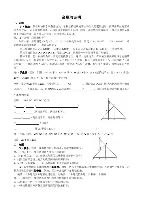 沪科版八年级上命题与证明教案