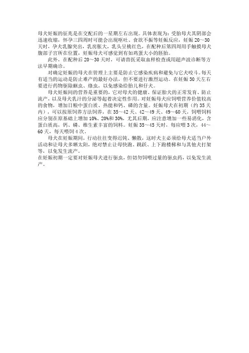母犬妊娠的征兆
