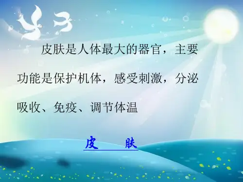 人体的主要器官及作用 (2)课件