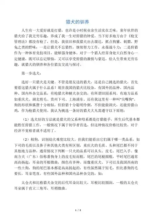 猎犬的驯养