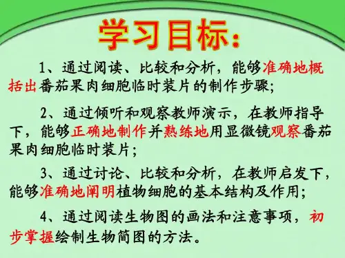 用显微镜观察番茄果肉细胞临时装片共17页