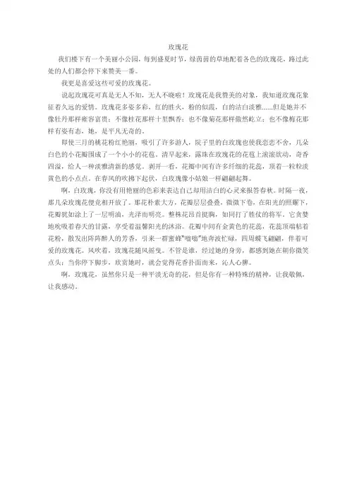 玫瑰花