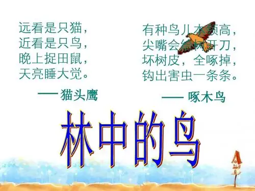 五上科学《林中的鸟》