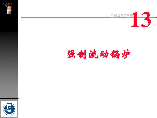 第十三章_强制流动锅炉