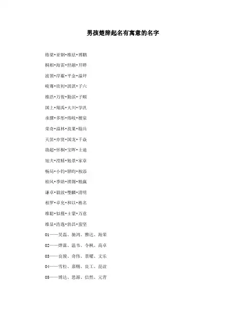 男孩楚辞起名有寓意的名字