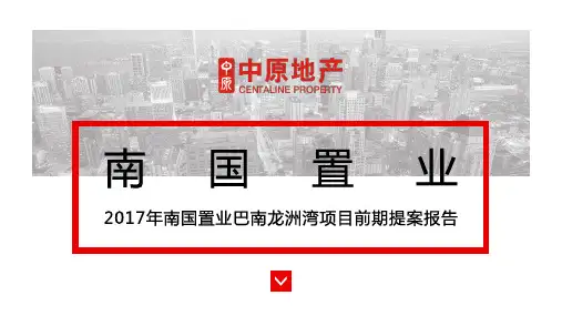 巴南龙洲湾项目前期提案
