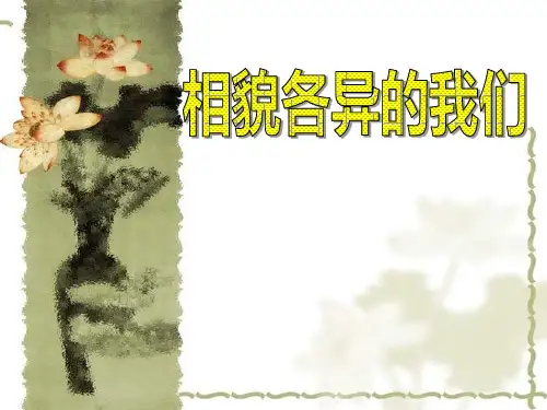 教科版六年级科学上册《相貌各异的我们》PPT课件