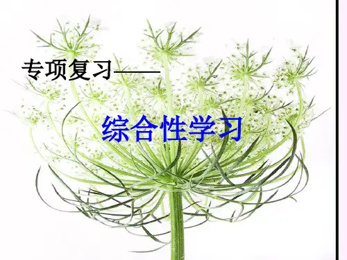 中考语文综合性学习PPT课件 42