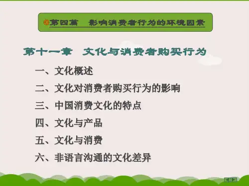 《消费者行为学》第十一章_文化与消费者购买行为