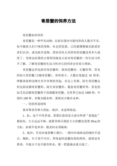 寄居蟹的饲养方法