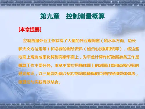 武大控制测量学 第9章  控制测量概算