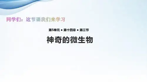 苏教版初中八年级生物上册课件《神奇的微生物》(苏教)