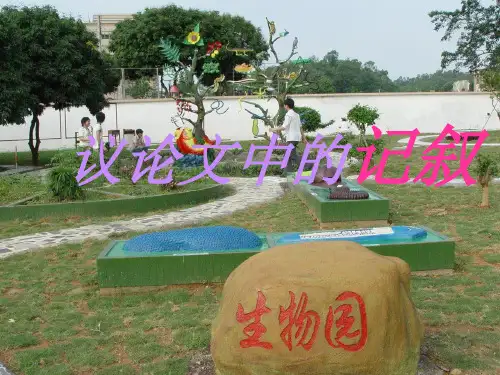 议论文中的记叙教案