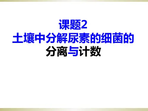 土壤中分解尿素的细菌的分离与计数ppt