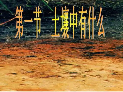 第1节 土壤中有什么