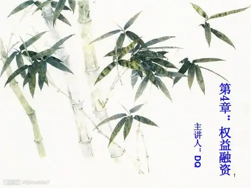 《工程项目融资》第4章