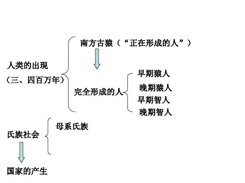 西方文明的摇篮2 中图版PPT课件