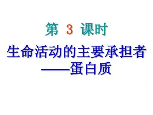 蛋白质
