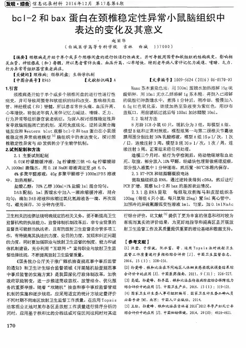 bcl-2和bax蛋白在颈椎稳定性异常小鼠脑组织中表达的变化及其意义