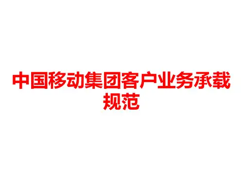中国移动集团客户业务承载规范