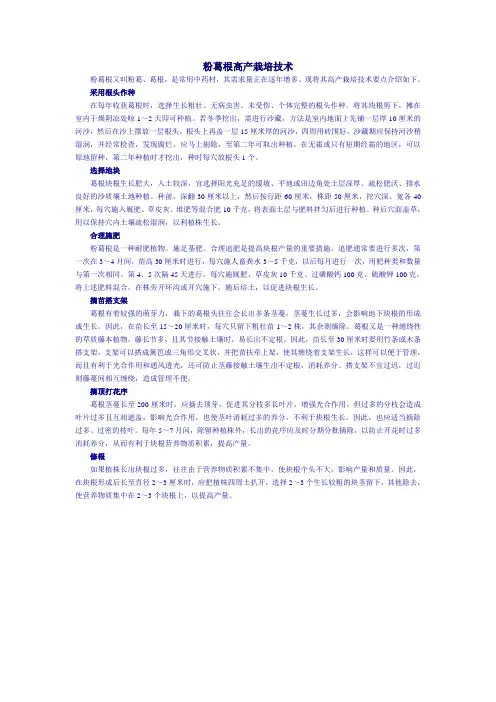 粉葛根高产栽培技术